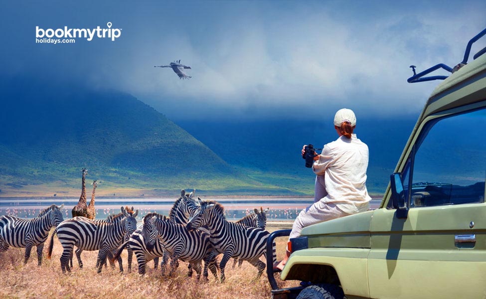 Bookmytripholidays | Grand African Safari Holiday | Nature tour packages